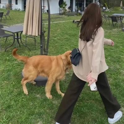 夏日之子
